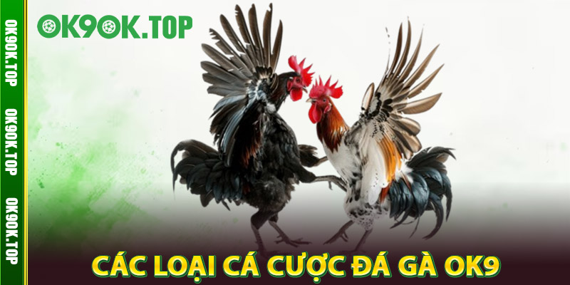 Đá Gà OK9 – Truy Cập Nhanh, Xem Live Trực Tuyến Cực Nét 2 Các Loại Cá Cược Đá Gà OK9