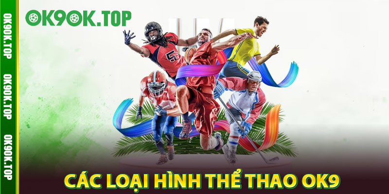 Các Loại Hình Thể Thao OK9
